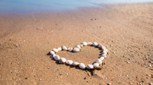 Reprise de la marche aquatique et nouvel élan !